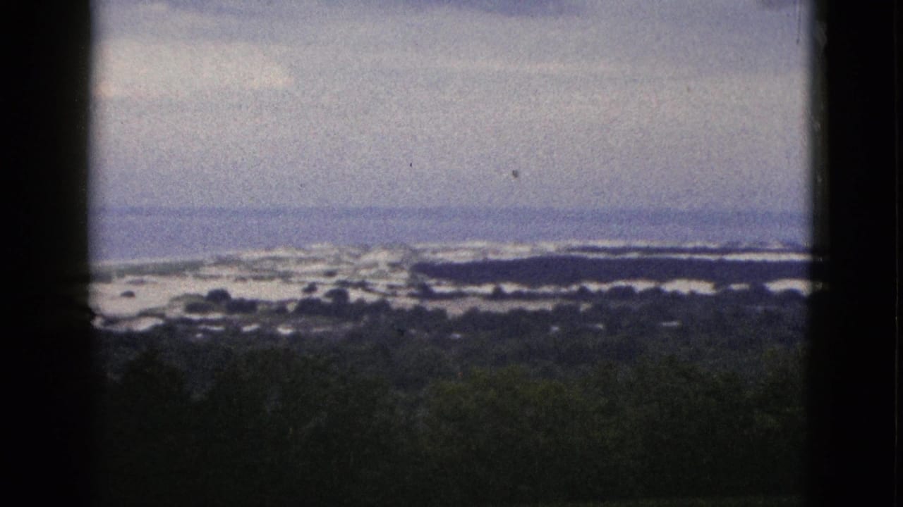 1953 California home-movie frame showing dark trees in the foreground and a distant ocean shoreline under a cloudy sky.