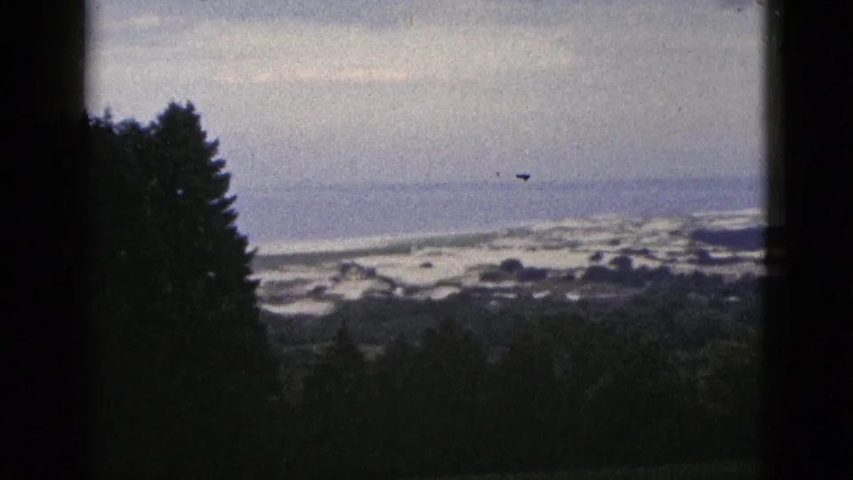 Late frame of a 1953 California coastal view, with a tall tree mass at left and the ocean horizon beyond the shore.
