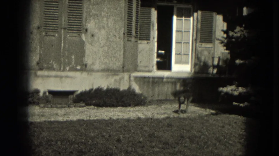 1953 Milwaukee home-movie frame showing a dog in a residential yard before a house with shutters and a white door.