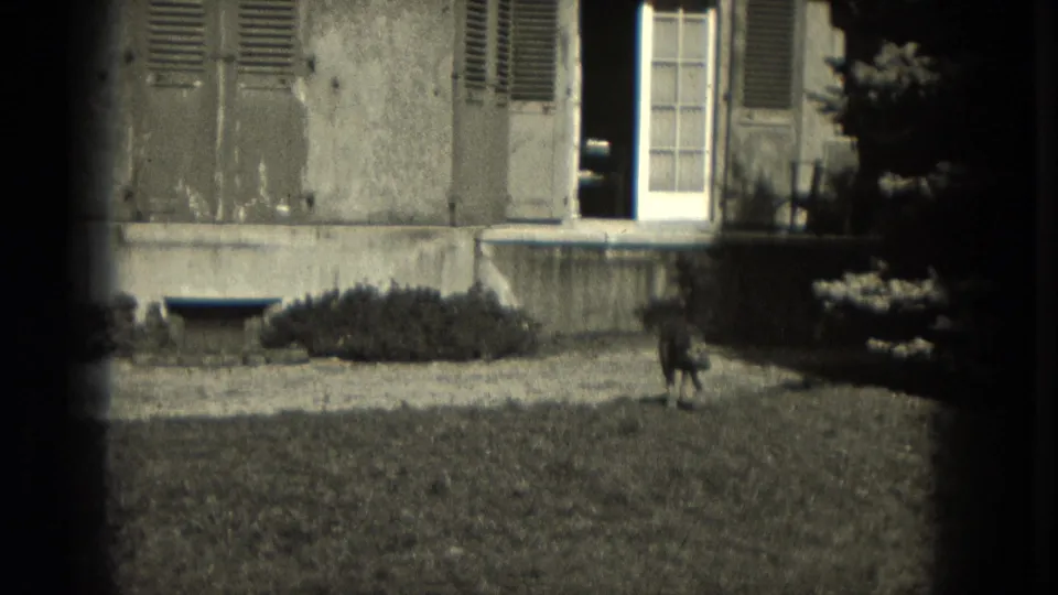 The dog roams farther across the Milwaukee yard, with the shuttered house facade and doorway still in view.