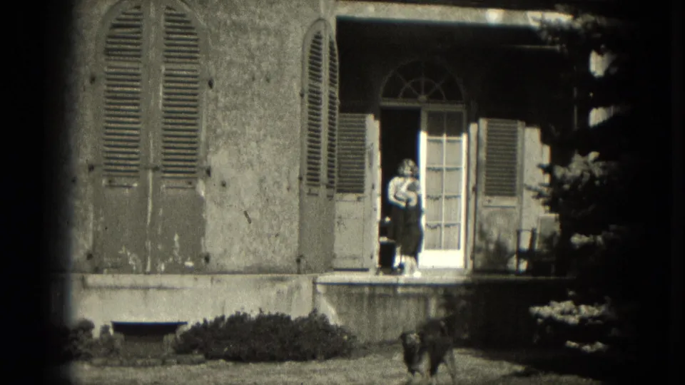 The person remains at the white doorway of the Milwaukee house while the dog moves across the foreground lawn.