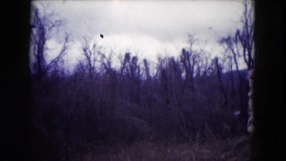 1953 Milwaukee-area 8mm frame with bare trees and dense brush silhouetted against an overcast sky.