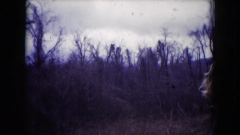 1953 Milwaukee-area 8mm frame looking across leafless woods and brush, with a muted sky and visible film edge wear.