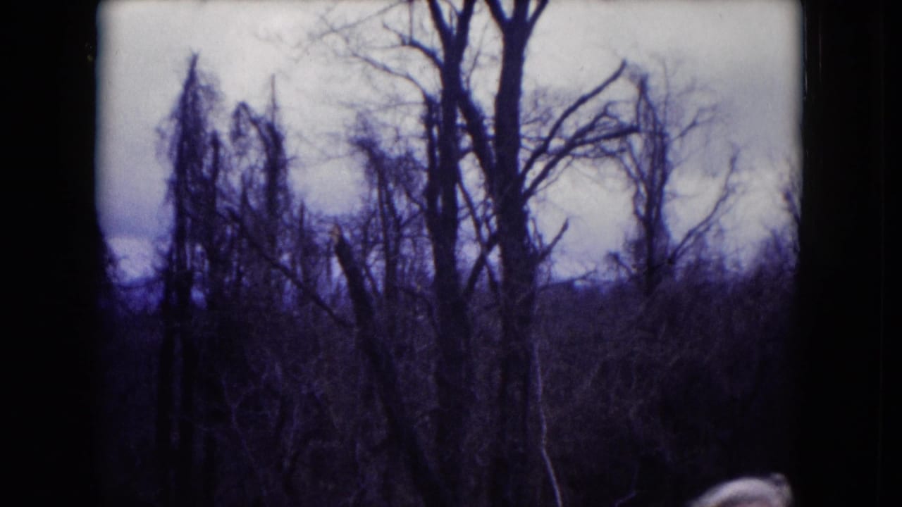 1953 Milwaukee-area 8mm frame showing leafless trees and brush under a pale overcast sky with a blue-purple film cast.