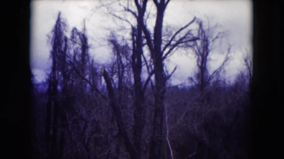 Blue-tinted 8mm view of bare trees and dense winter brush in the Milwaukee-area landscape, framed by dark film edges.