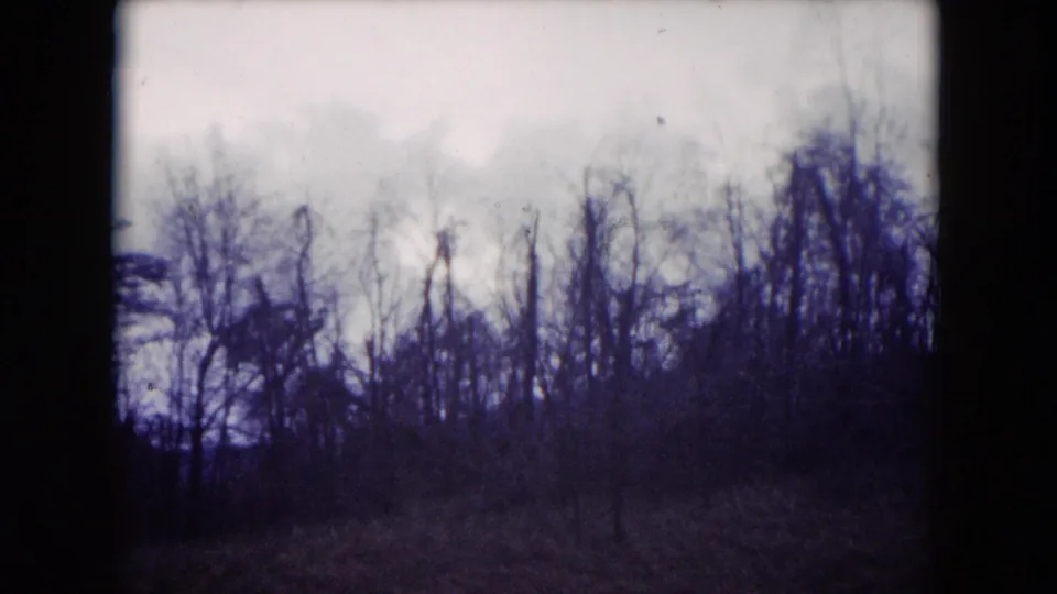 1953 8mm frame of a bleak field with leafless trees and low brush beneath a pale cloudy sky, showing visible grain and color shift.