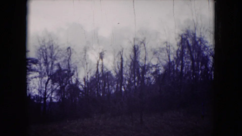 Milwaukee-area 1953 home-movie frame showing winter brush, bare trees, and a washed cloudy sky with scratches and aged 8mm color shift.