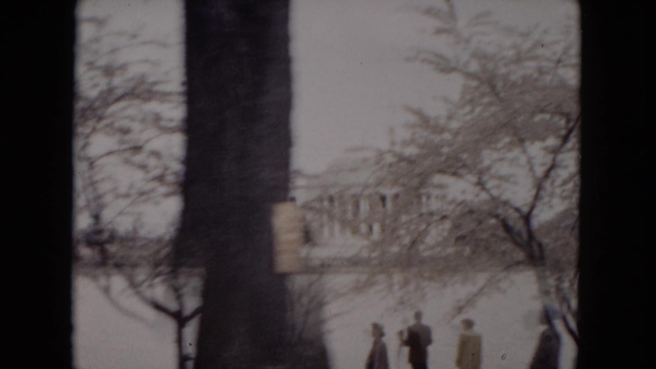 People walk near water and flowering trees with a columned building in the distance.