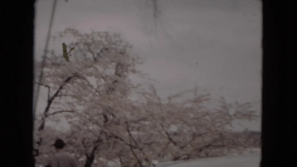 Soft home-movie frame showing spring blossoms over water, with visitors partly visible near the lower edge.