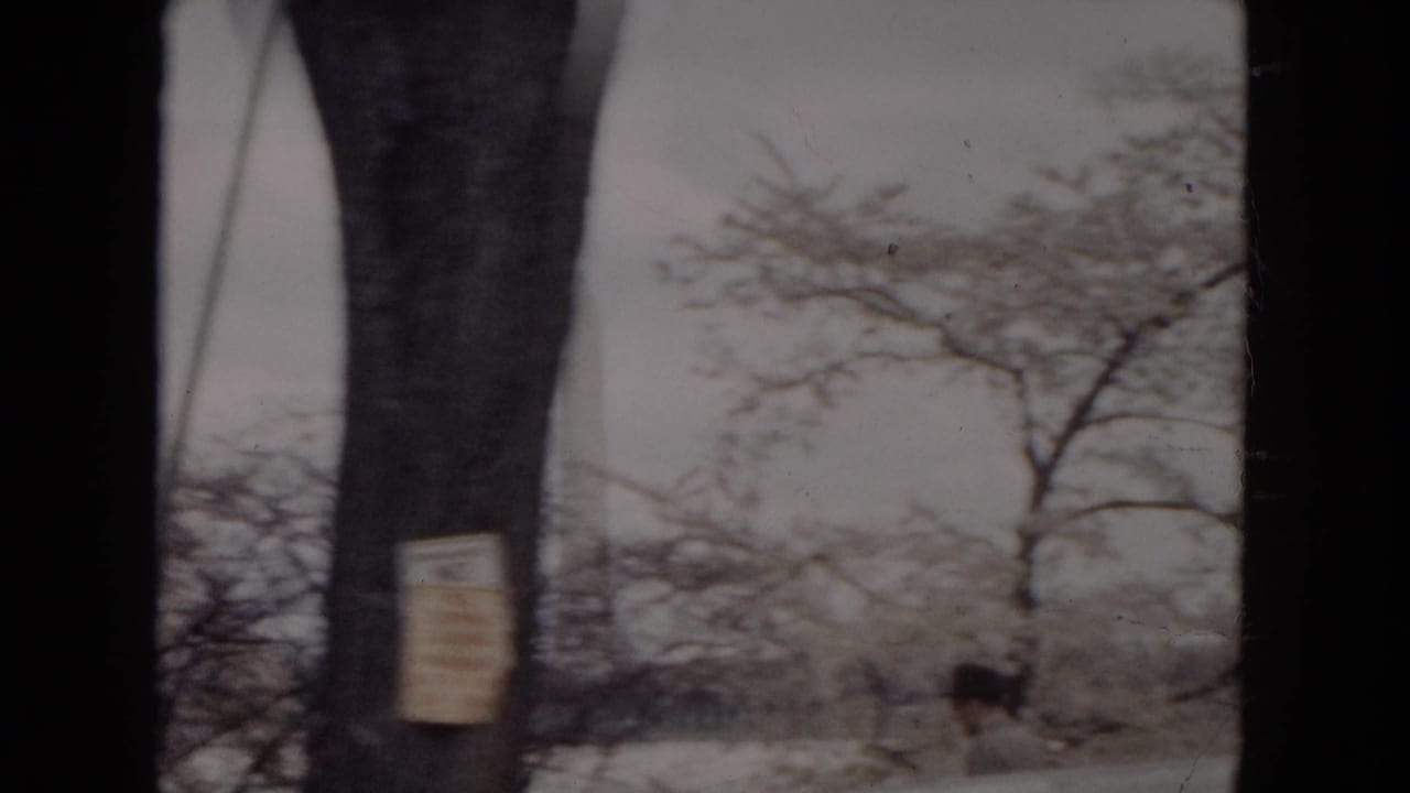 Snowy roadside seen through dark window divisions with bare trees, a posted sign, and a distant walking figure.