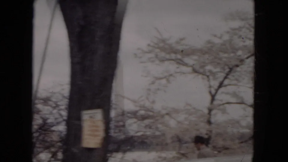 1953 Milwaukee-area home-movie frame showing a snowy roadside, bare trees, a small sign, and a distant person seen through dark car-window divisions.
