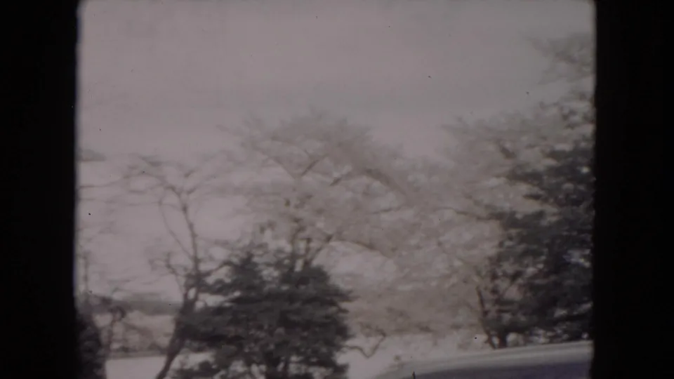 Snow-covered roadside with leafless trees and shrubs, filmed from a moving car in likely Milwaukee, Wisconsin, in 1953.