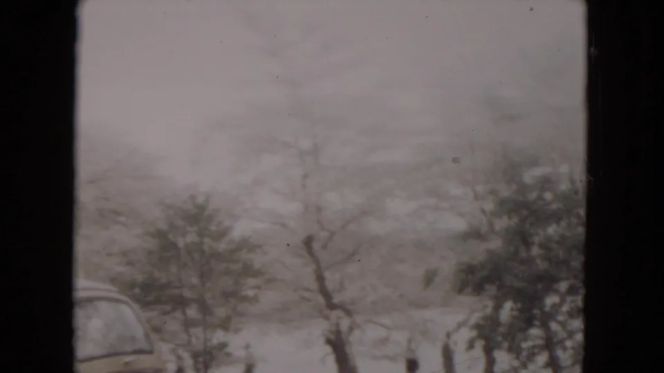 Soft 8mm frame of a snowy 1953 winter roadside with bare trees, shrubs, and the curved edge of a classic automobile.