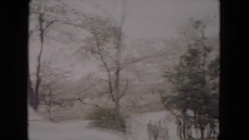 Snow-covered Milwaukee park or roadside landscape with bare winter trees and shrubs in 1953 home-movie footage.