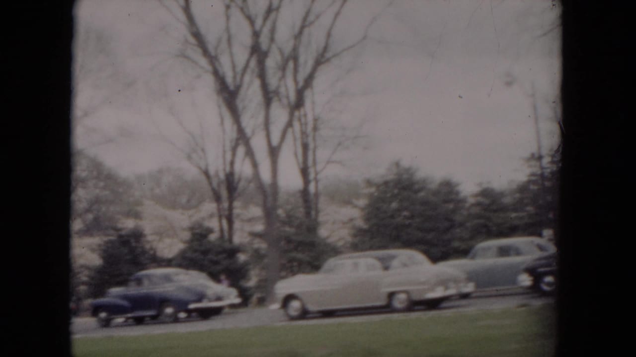 Parked mid-century cars along a tree-lined road seen from a moving viewpoint.
