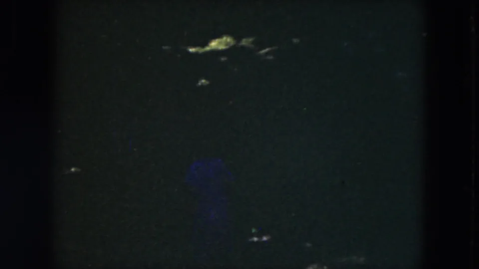 At the end of the 1953 Milwaukee clip, the woman is faintly visible in deep shadow within the garden scene.