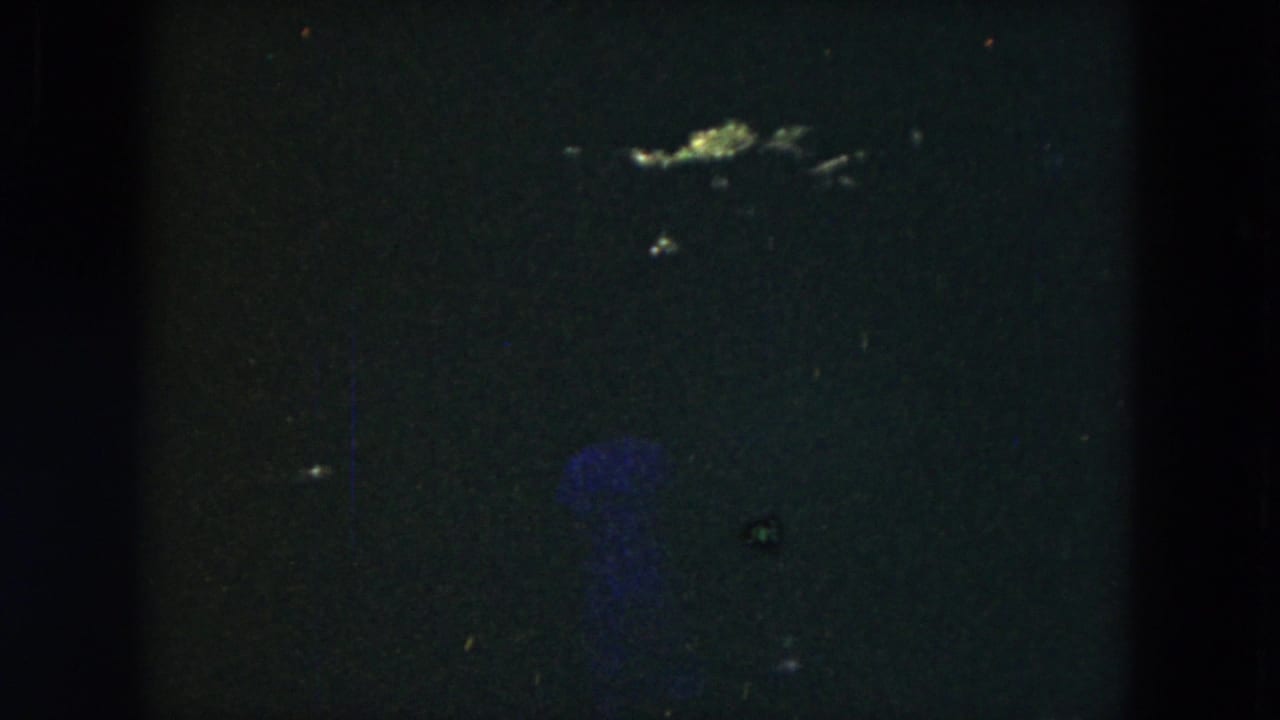 Very dark 1953 8mm frame from Milwaukee with faint garden foliage and visible film gate shadows.