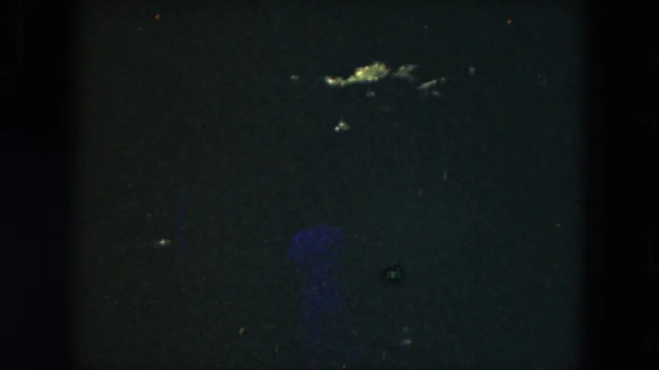 Very dark 1953 8mm frame from Milwaukee with faint garden foliage and visible film gate shadows.