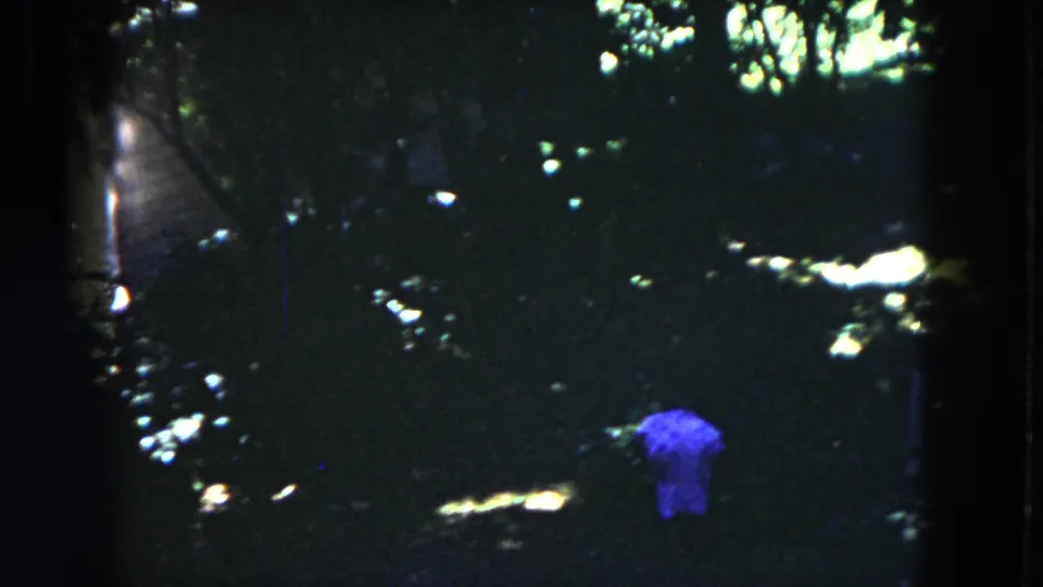 A woman in a blue dress appears in a shaded Milwaukee garden, partly obscured by dark foliage and 8mm grain.