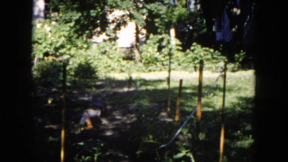 The frame shows a planted backyard garden with wooden stakes and a partially visible person near the lower edge in Milwaukee home-movie footage.
