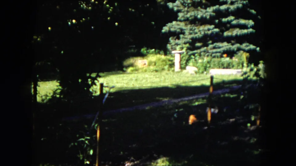 1953 Milwaukee backyard view with dappled sunlight, mature trees, garden beds, stakes, and a small birdbath-like pedestal near the rear lawn.