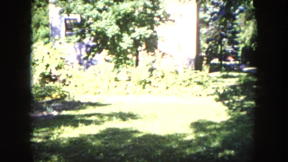 Overexposed 1953 Milwaukee yard frame showing bright grass, shrubs, trees, and a pale residential wall partly obscured by foliage.