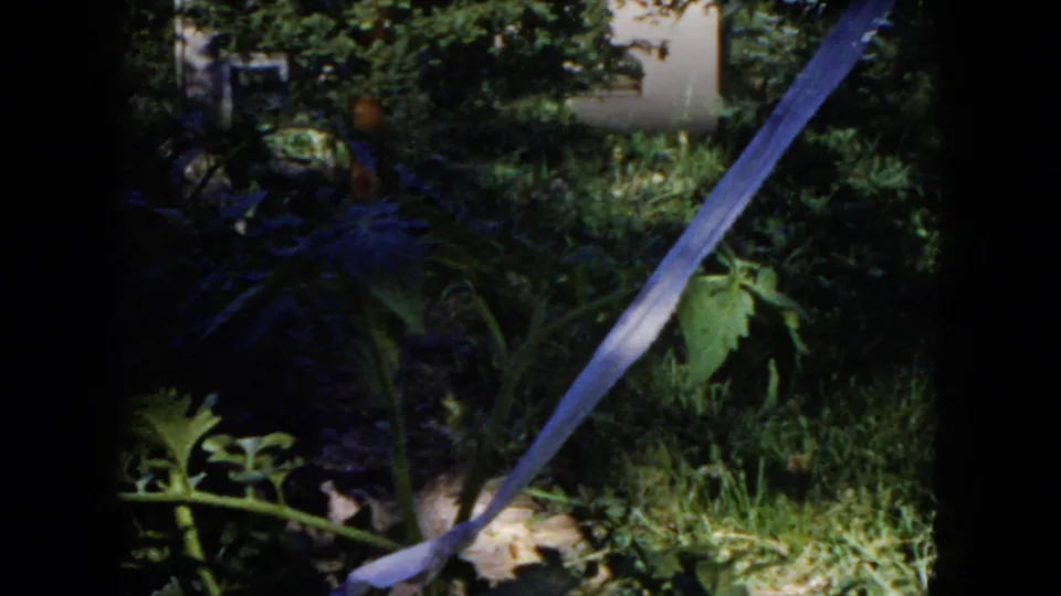 1953 Milwaukee home-movie frame with a closer view of backyard plants, large leaves, a diagonal rope or cloth line, and a pale house wall beyond.