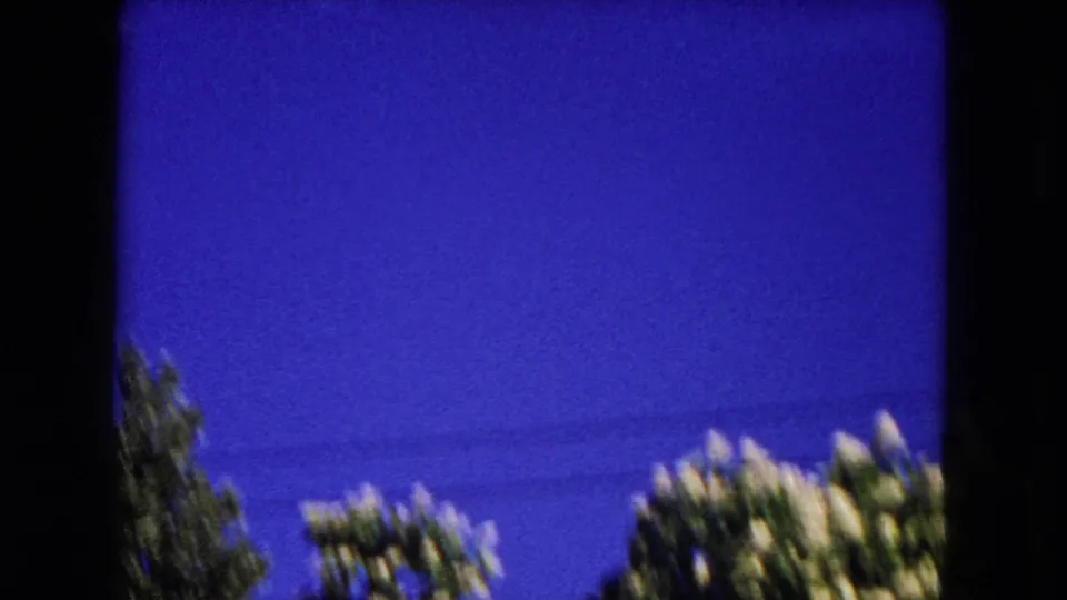 1953 8mm Milwaukee frame with soft, handheld motion across treetops and an intense blue sky.