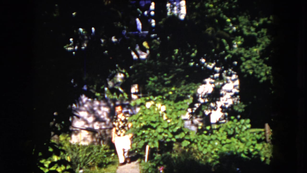 In 1953 Milwaukee home-movie footage, a man walks along a shaded garden path amid bright green plants and dappled sunlight.