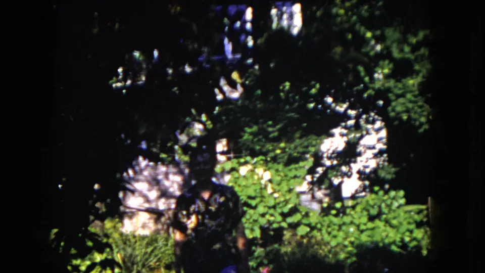 At the end of the clip, the man is low in frame and partly shadowed, with bright foliage and a garden structure behind him.
