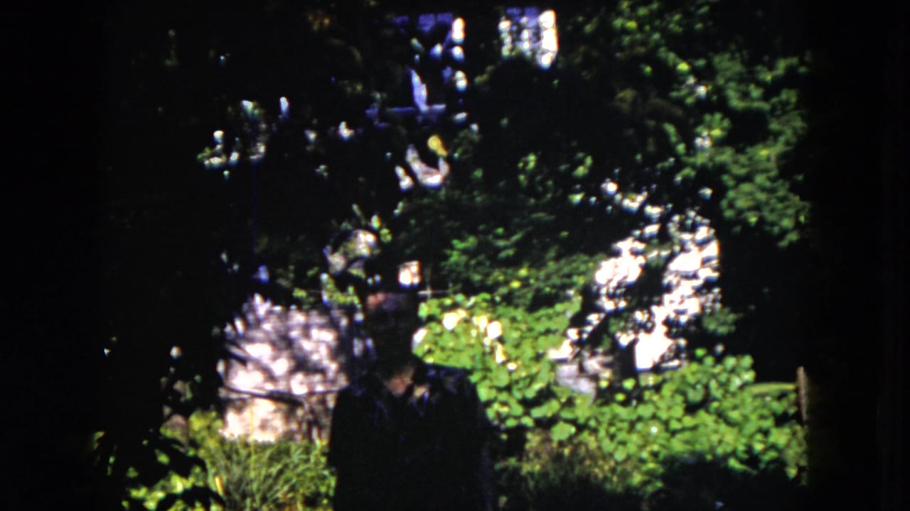 Man in dark clothing partly obscured by garden shadows and leafy branches.