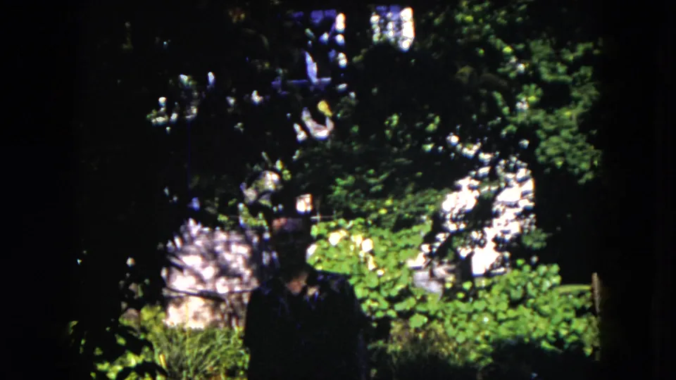 In 1953 Milwaukee home-movie footage, a man stands or walks in a shaded garden with bright foliage and soft background structures.