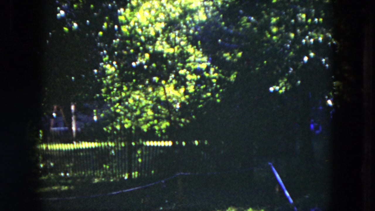 1953 Milwaukee 8mm frame of bright sunlit foliage above a dark metal fence in a shaded garden or yard.