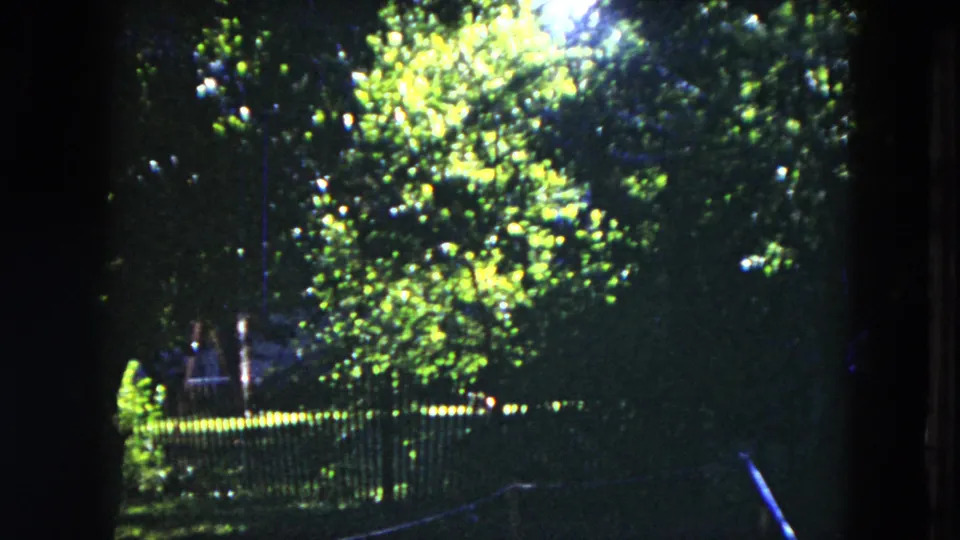 1953 Milwaukee home-movie frame showing a bright tree canopy, deep shade, and a metal fence across the garden.