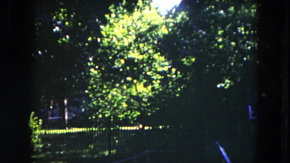 1953 Milwaukee 8mm frame with dense garden foliage, bright leaf highlights, and a dark fence across the middle ground.