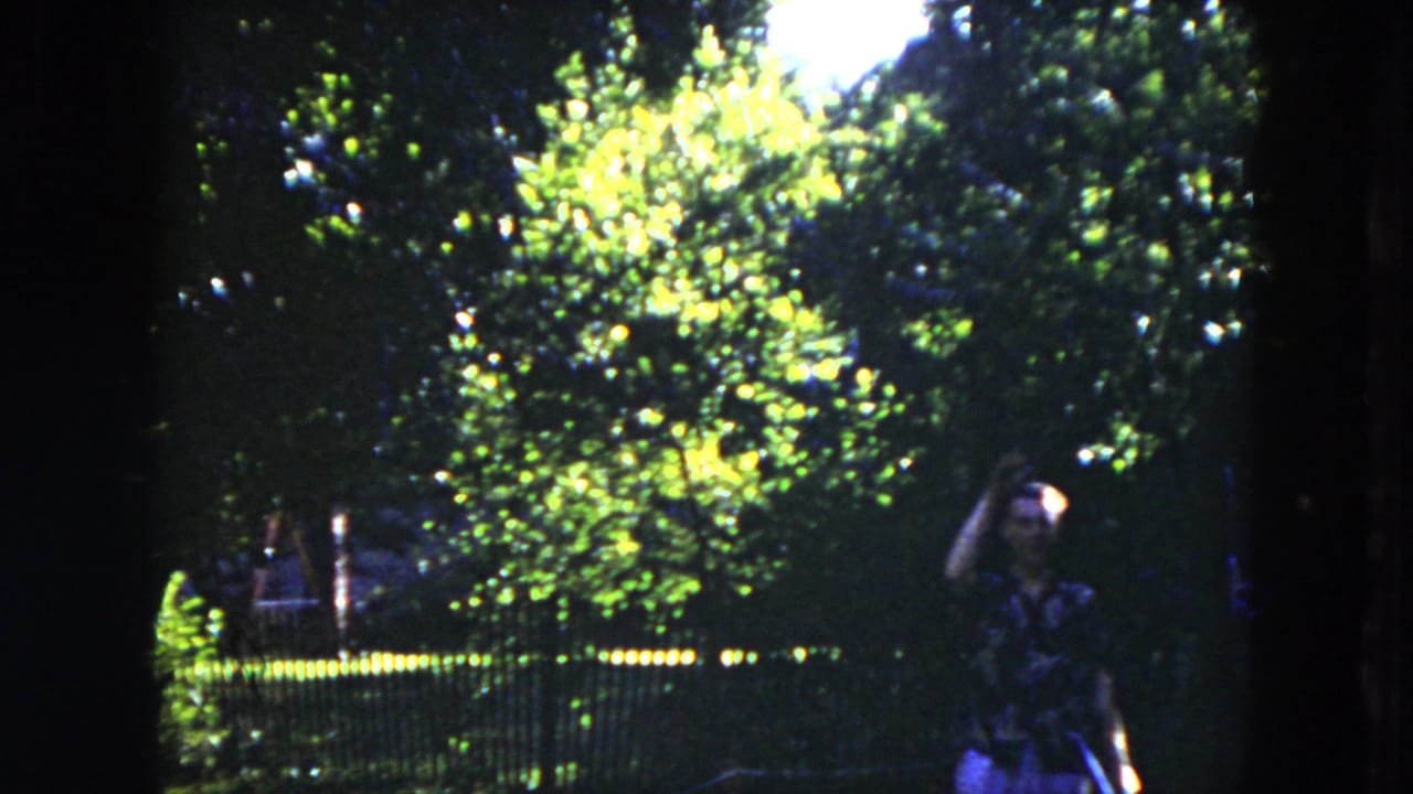 Man standing in a shaded tree-lined area near a black metal fence.