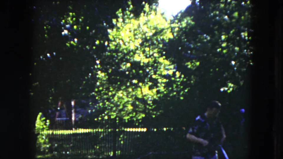 The man leans or turns slightly in the shaded foreground, with bright green trees and a fence behind him.