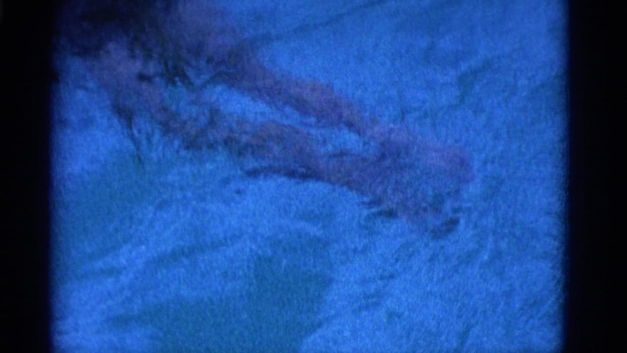 Blue-tinted pool water with a swimmer partly visible near the top edge.