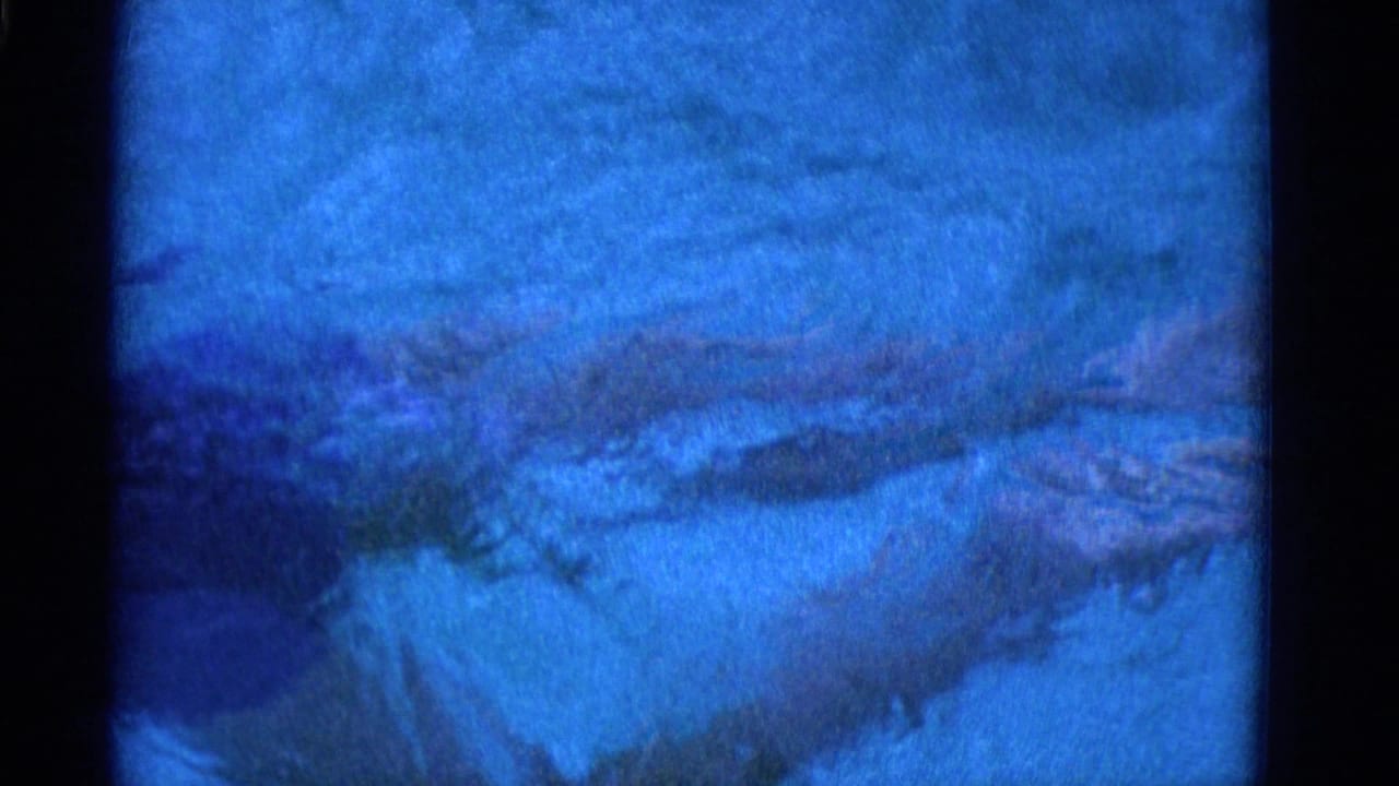 Blue-tinted water surface with ripples and film grain visible.