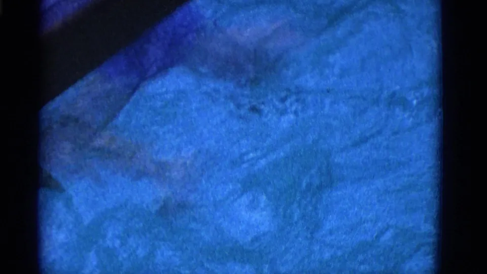 A swimmer appears partly submerged in blue-tinted 1953 Yonkers home-movie footage, with soft focus and visible grain.