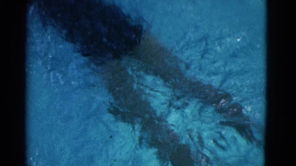 The swimmer is seen mostly underwater in blue pool water, with the dark swimsuit and legs visible through ripples and 8mm softness.