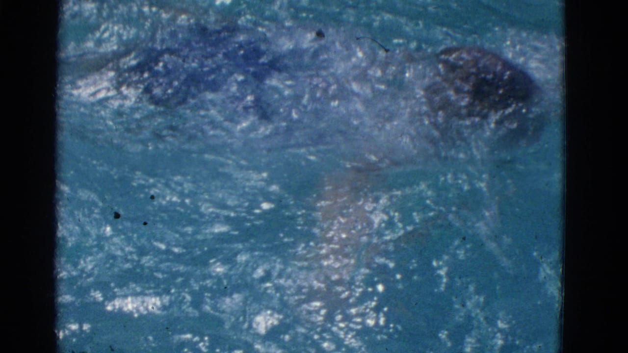 Swimmer partly submerged in blue pool water with splashes across the surface.