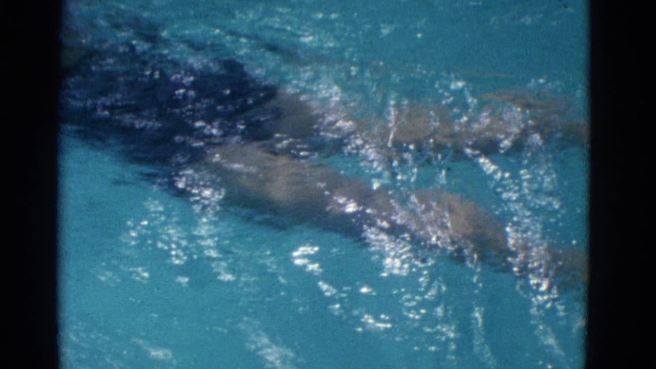 1953 8mm home-movie frame showing the swimmer underwater, partly obscured by reflections and moving pool water.