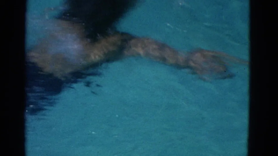 1953 Yonkers footage shows a swimmer in dark swimwear extending an arm through bright blue water.