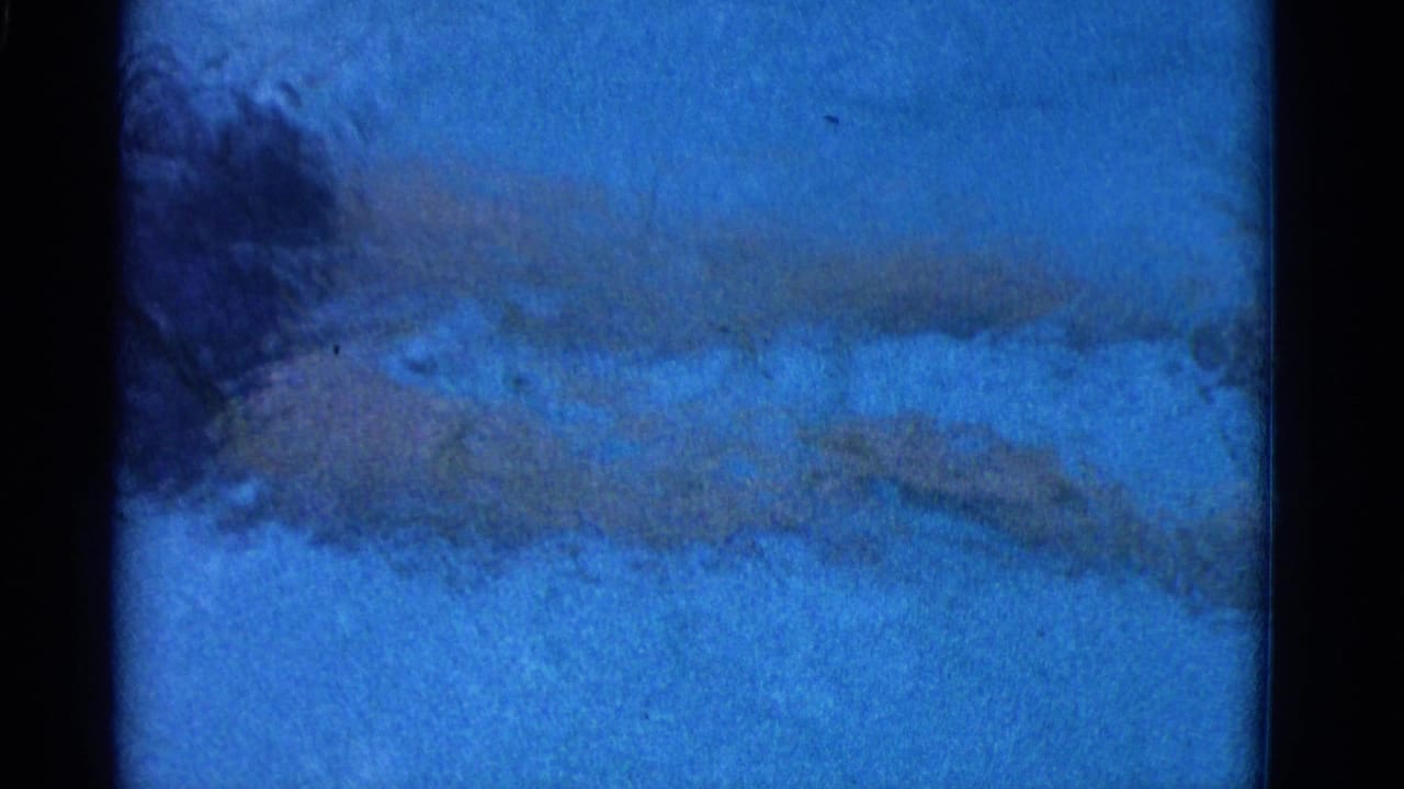 Woman in a white swim cap swimming through blue pool water.