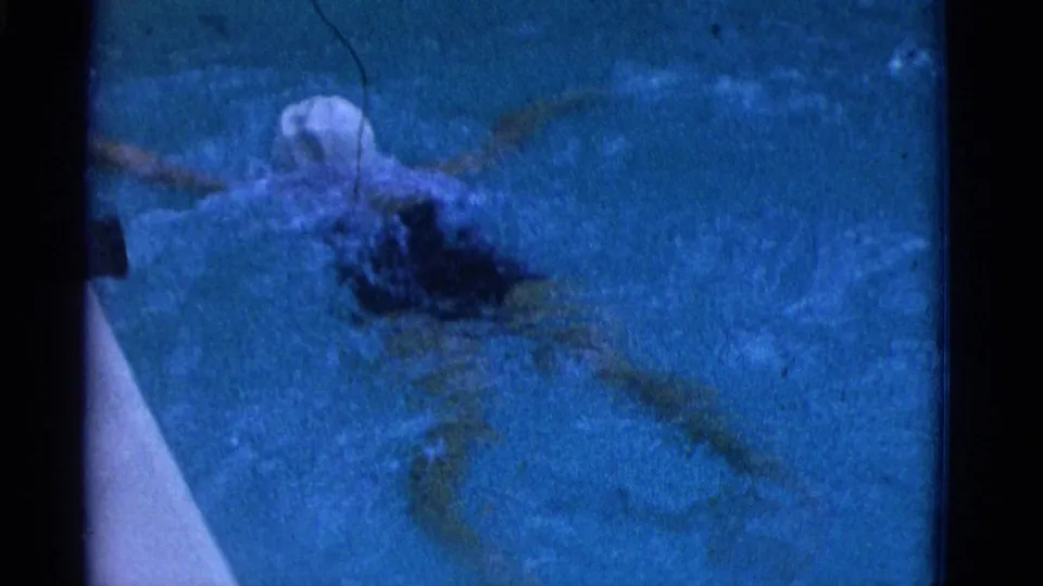 1953 Yonkers frame with the swimmer in a white cap moving through blue water, with the pool edge visible at lower left.