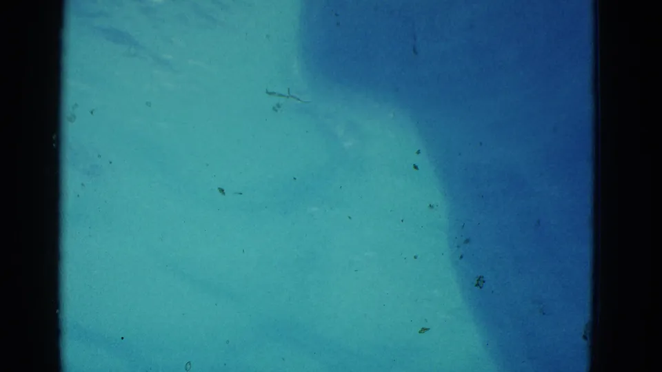 1953 Yonkers home-movie still showing a swimmer's form under blue-green pool water, with visible 8mm grain and minor dust marks.