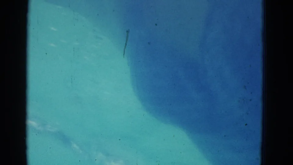 1953 Yonkers frame showing a swimmer partly beneath blue pool water, with ripples, soft focus, and physical 8mm film texture.