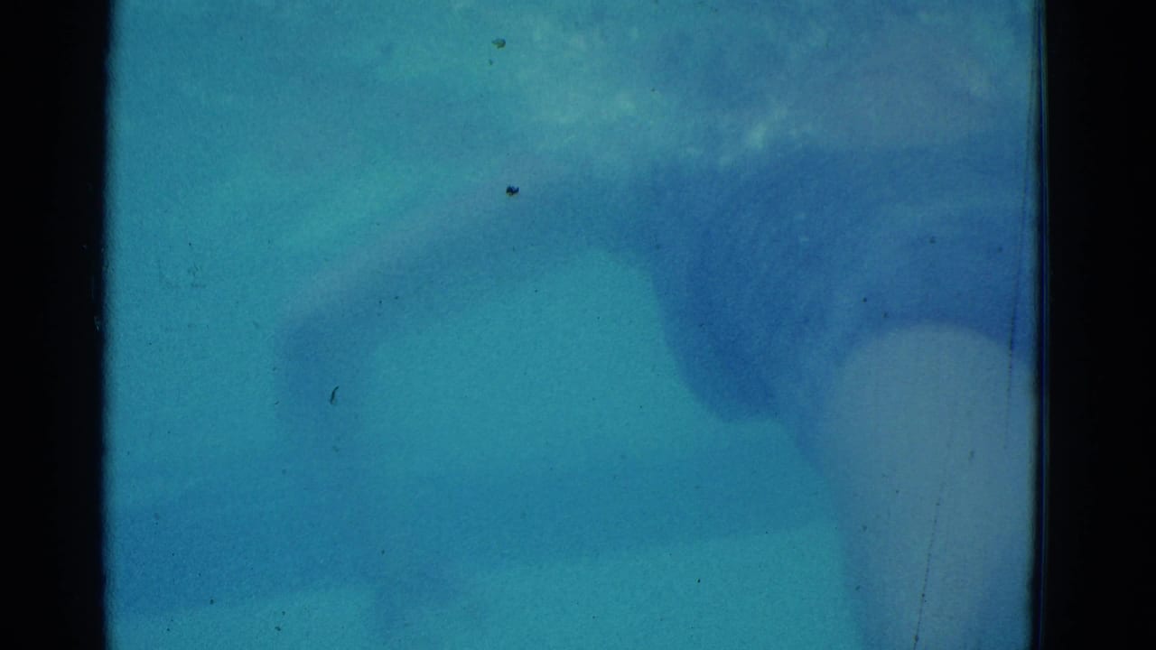 1953 Yonkers home-movie frame showing blue pool water with a swimmer partly obscured underwater and visible film gate edges.
