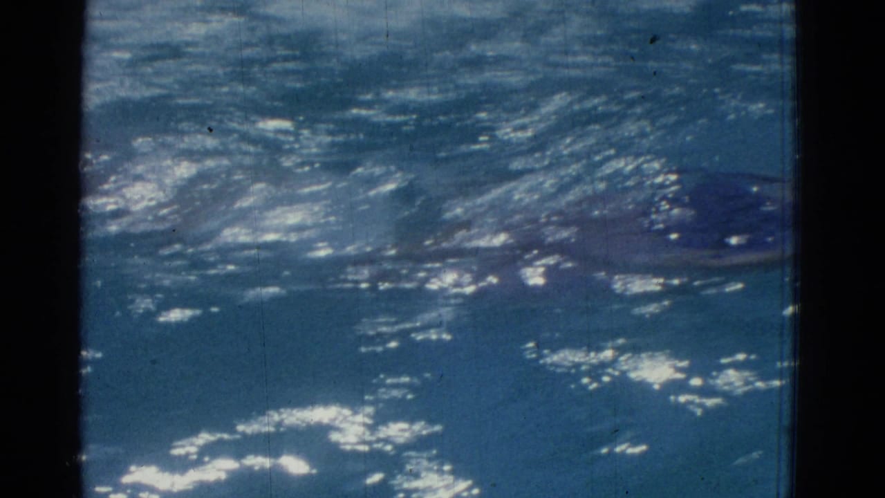 Blue pool water with ripples, sun glints, and a partial swimmer shape at the right edge.